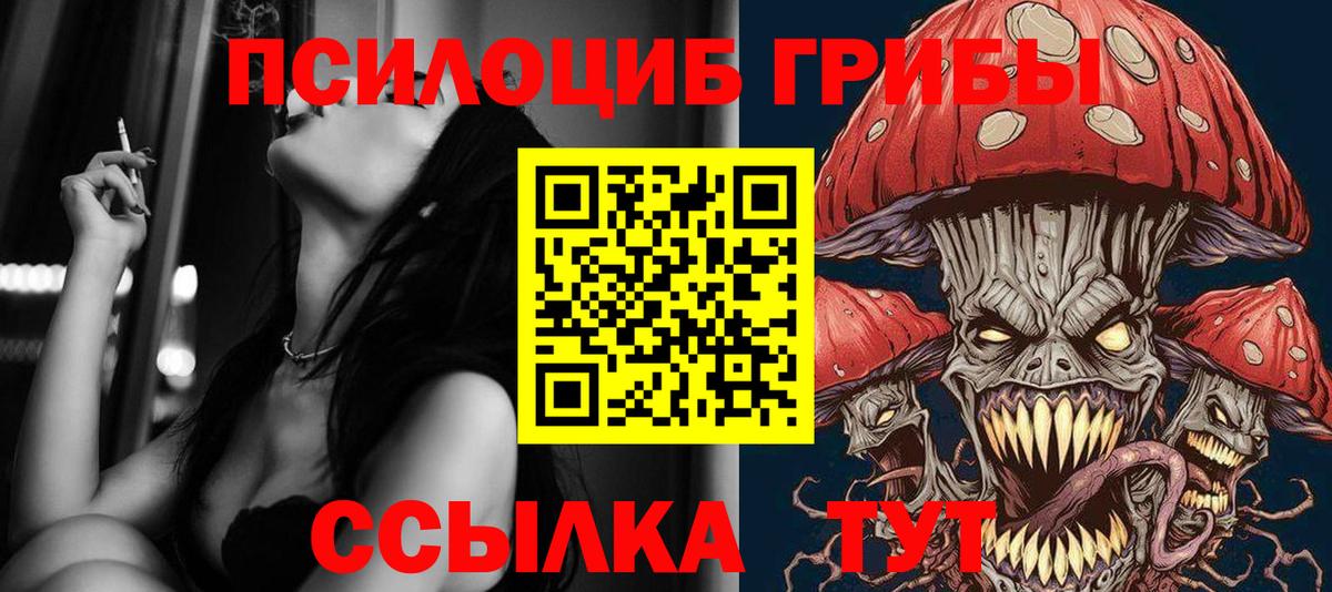 Кувандык  Галлюциногенные грибы MAGIC MUSHROOMS  Вход с VPN  Галлюциногенные грибы Psilocybe 